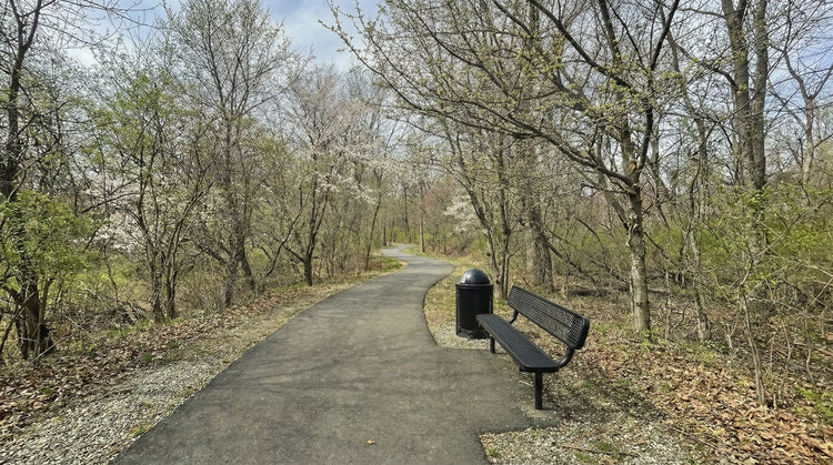A black park bench and trash receptacle in a public park beside a walking trail
