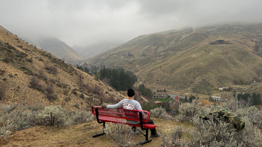 A red bench at a scenic overlook