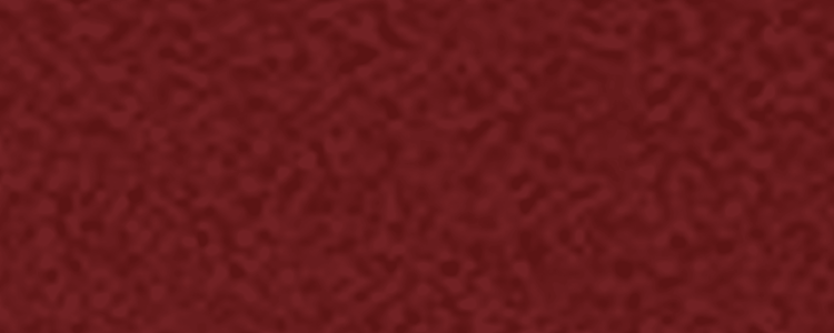 Textured Burgundy